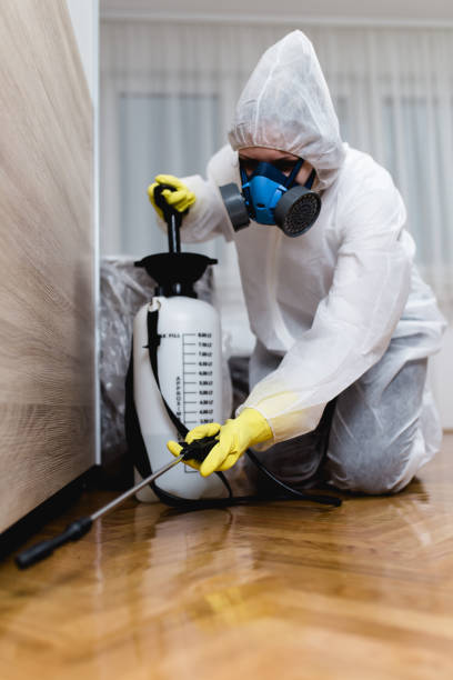 Best Commercial Pest Control  in Spring Hill, FL